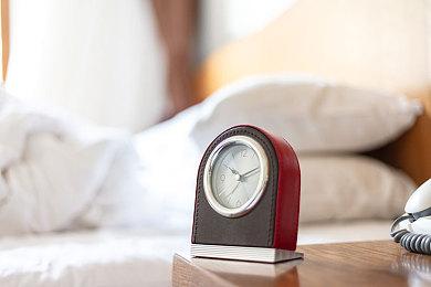 《破晓传说》新视频演示 吉祥物猫头鹰伙伴登场